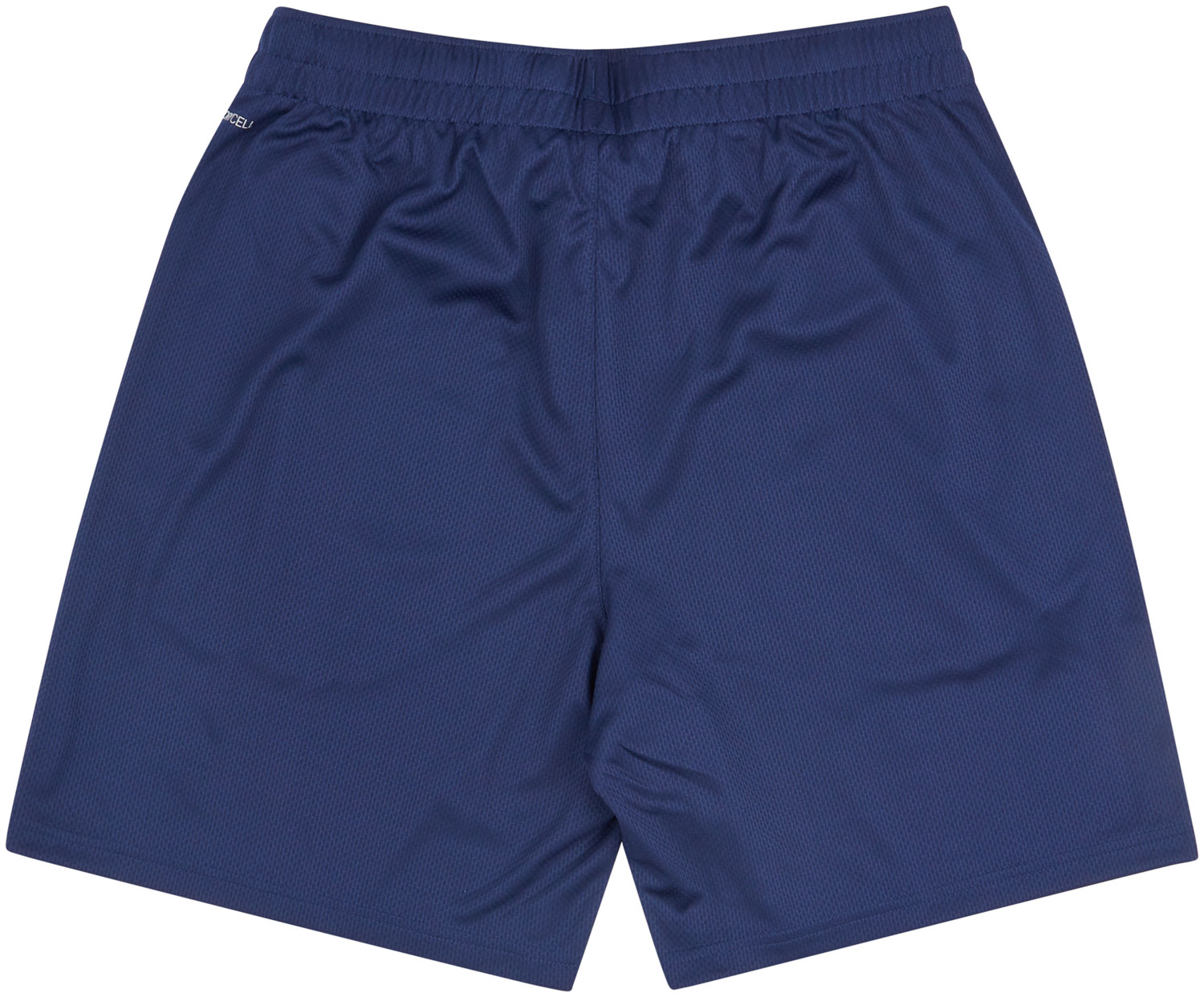Puma italy shorts on sale