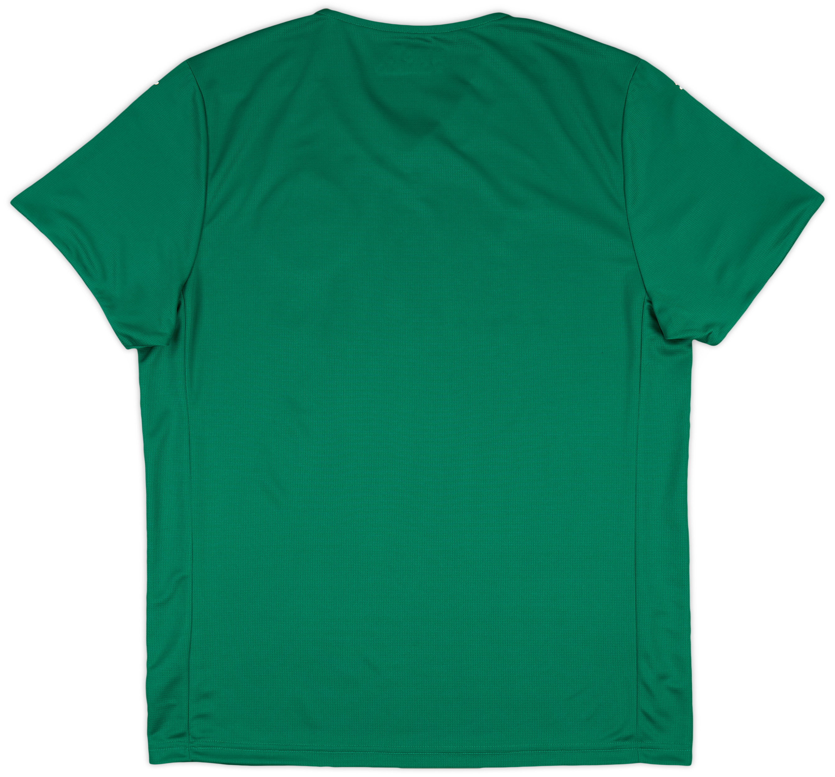XL パルメイラス2025/26 player PALMEIRAS/ブラジル 2025-26 Palmeiras Home Shirt