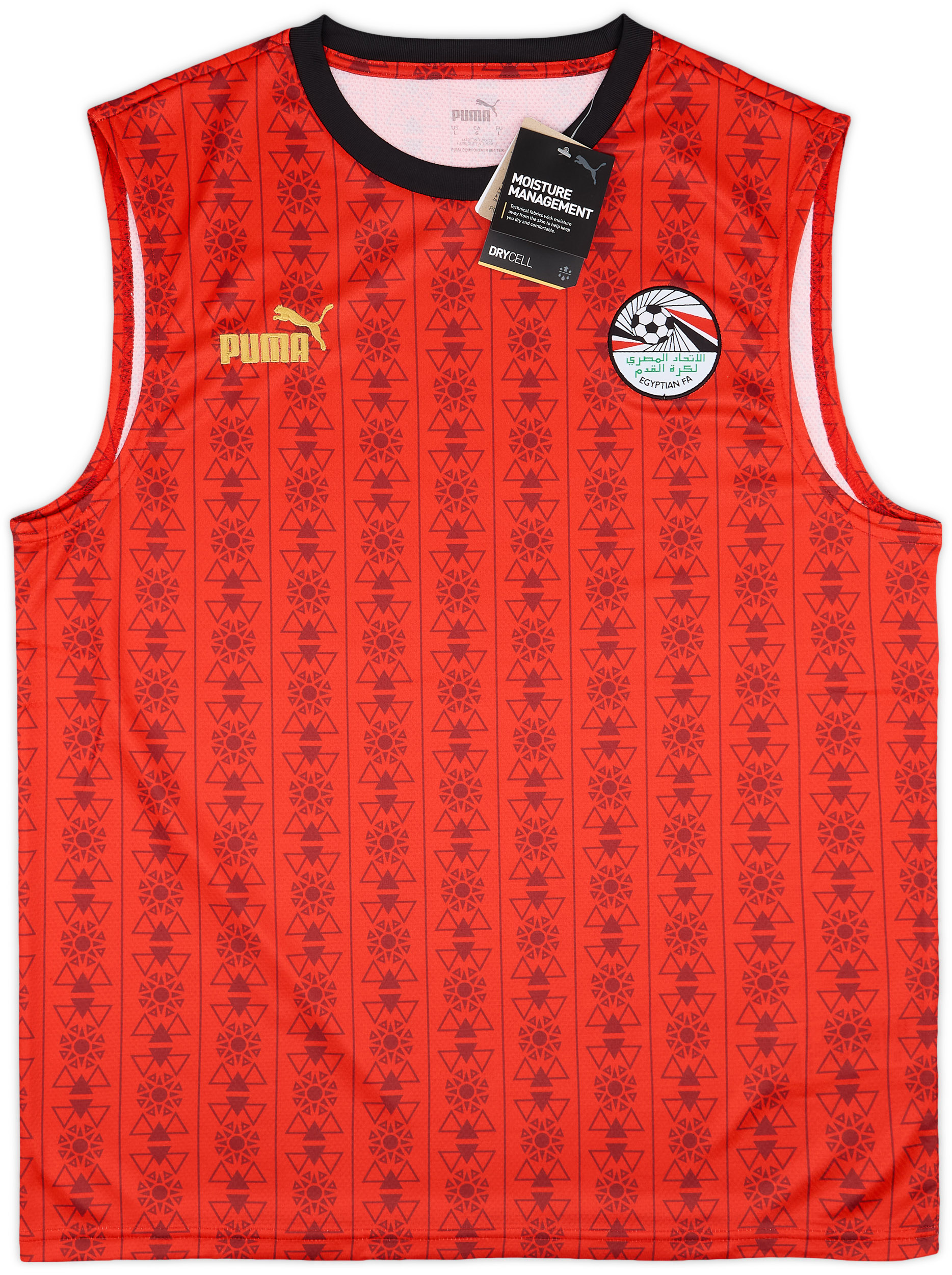 2023-24 Egypt Puma FtblCulture Vest