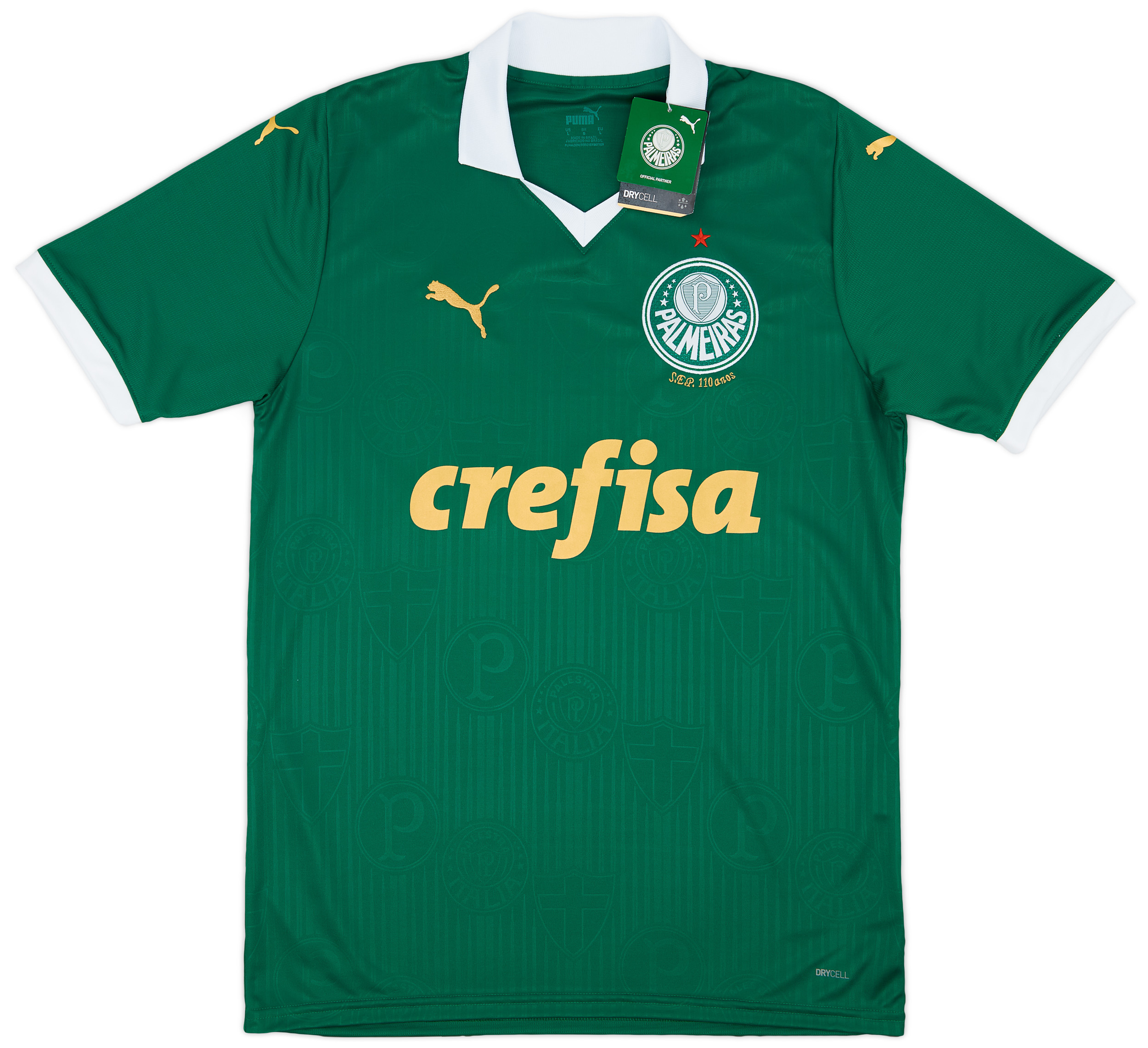 puma_palmeiras_2022_home_spons