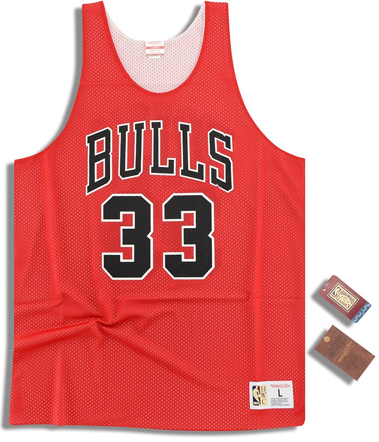 pippen mitchell and ness jersey
