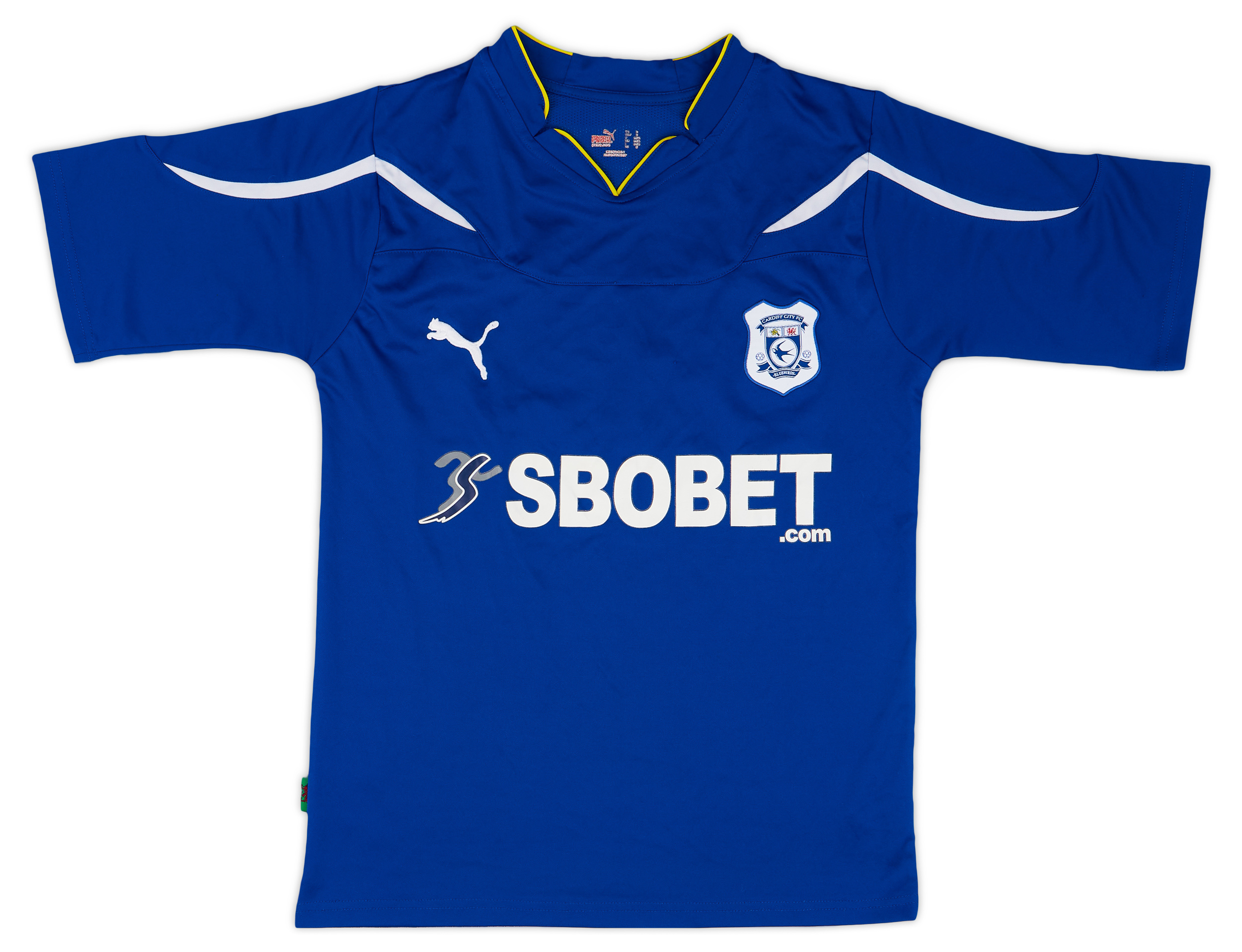 CARDIFF SHIRT LS