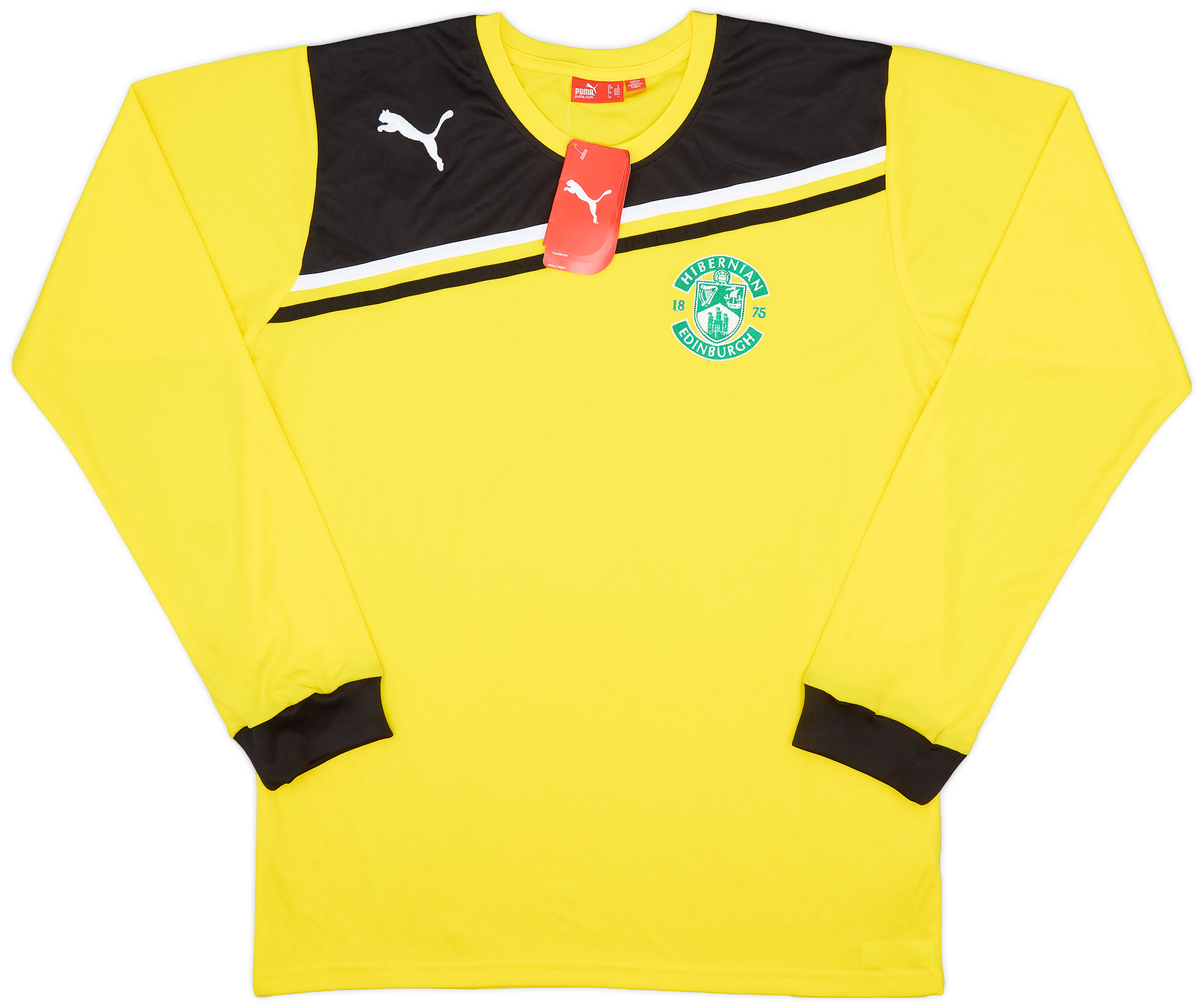 2011-12 Hibernian GK Shirt (L)