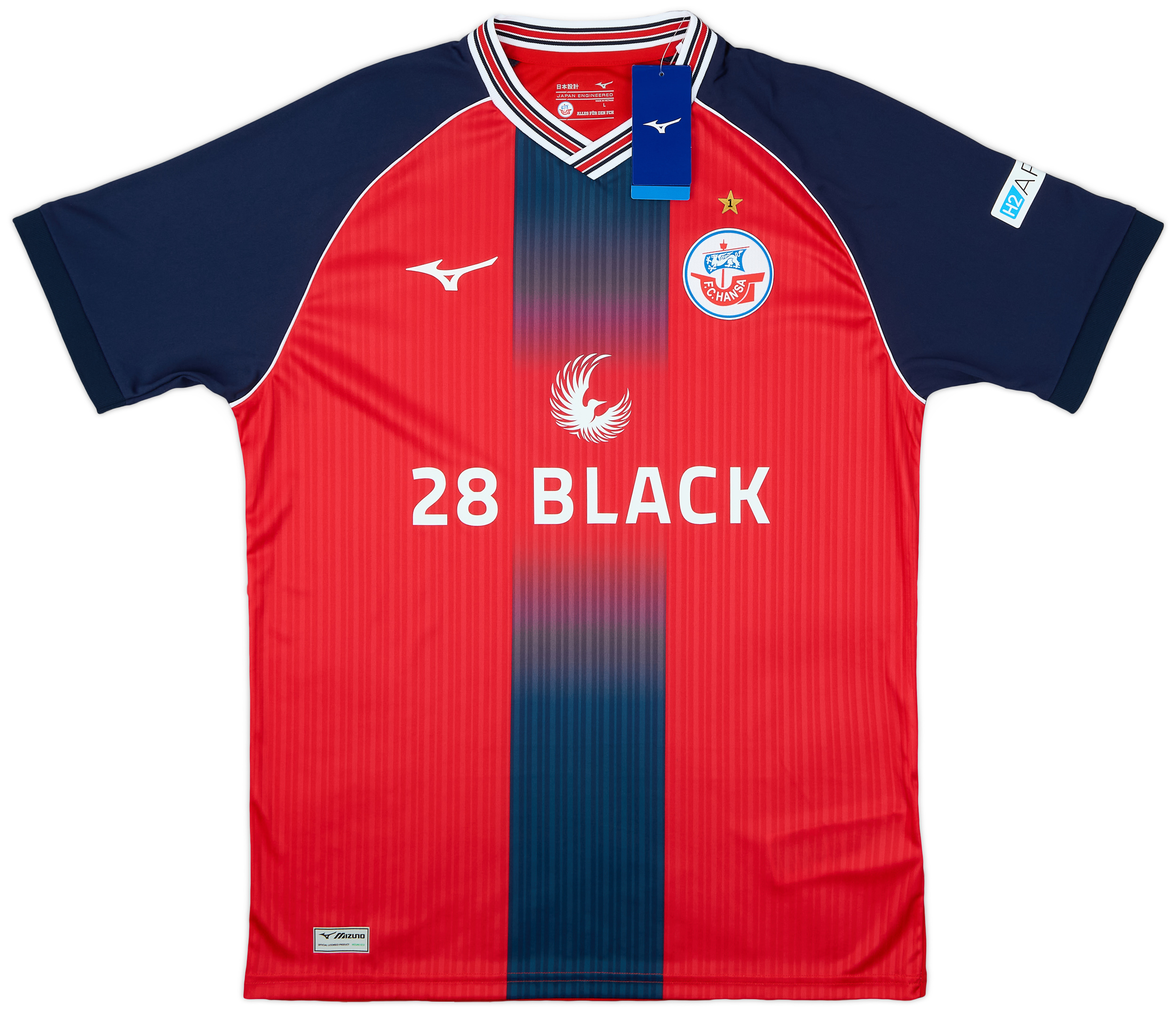 2024-25 Hansa Rostock Third Shirt